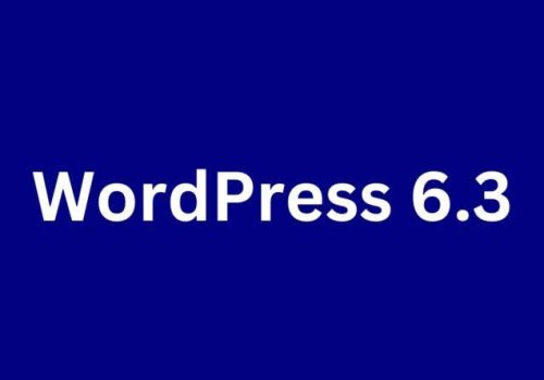 WordPress 6.3